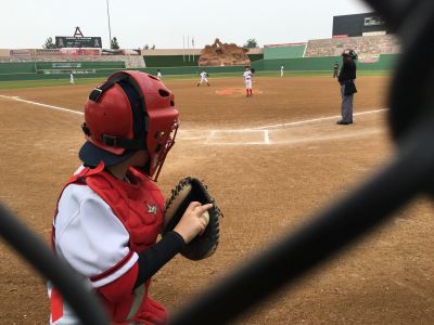 Gavin Catching